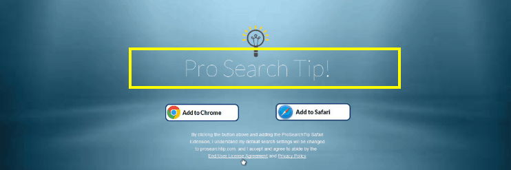 Pro Search 1