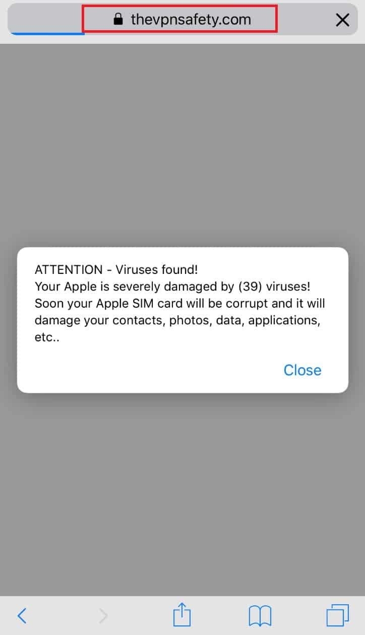 The Vpn Safety virus