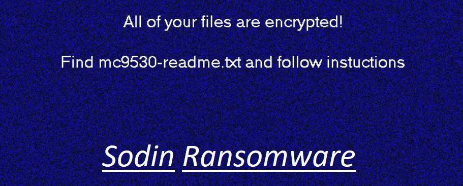 Sodin Ransomware