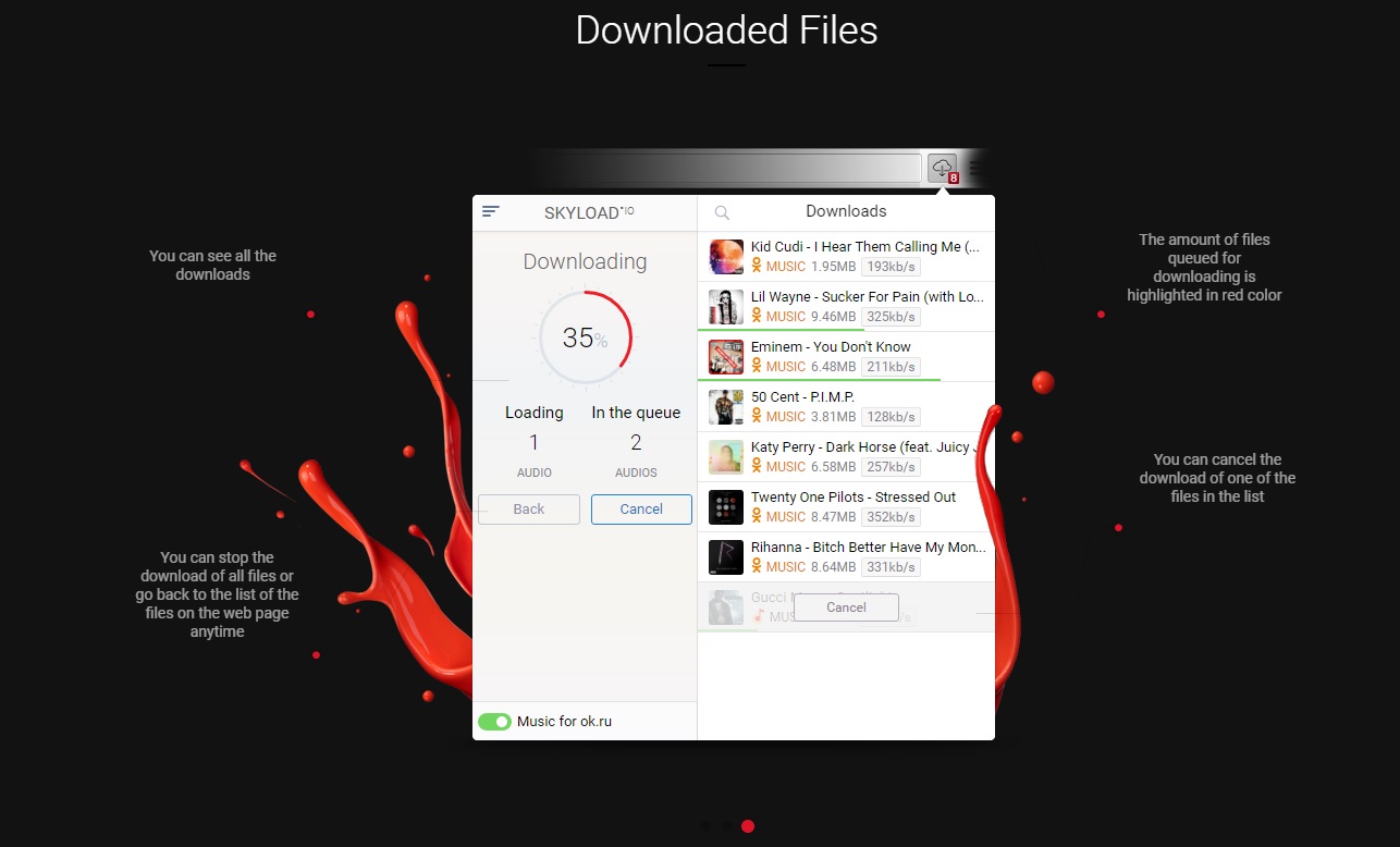 Video Downloader by Skyload