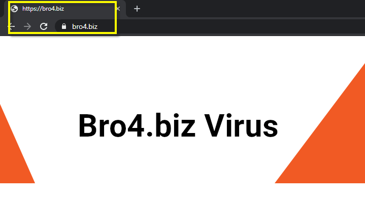 Bro4.biz