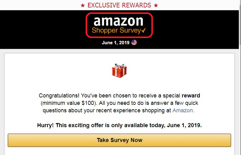Amazon Shopper Survey