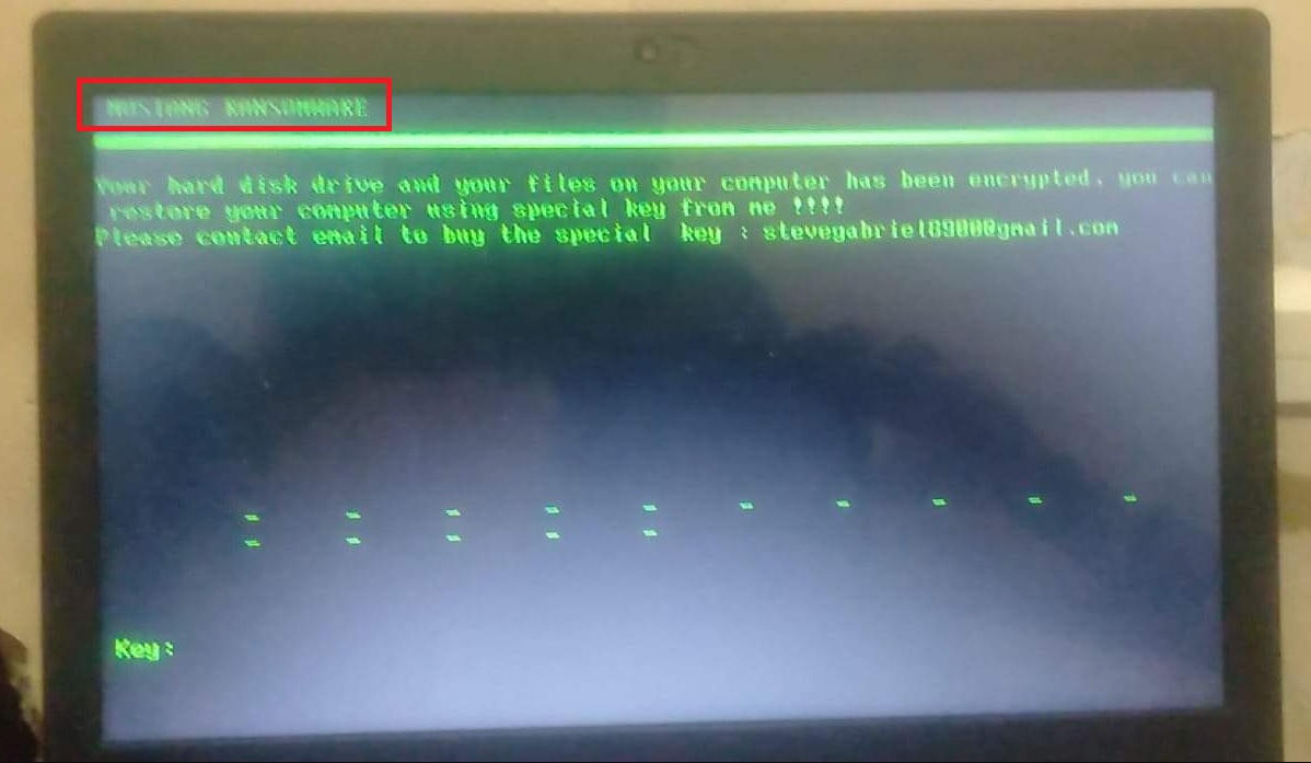 Mustang Ransomware