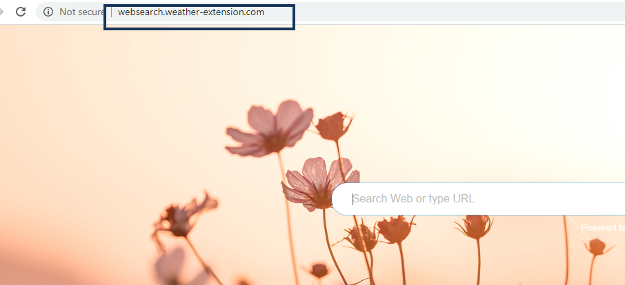 Web Search Weather