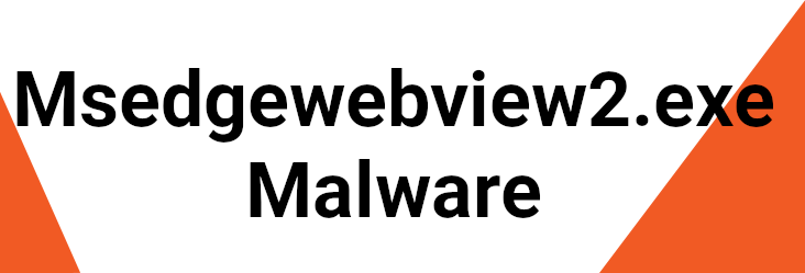 msedgewebview2.exe