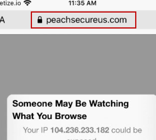 Peachsecureus