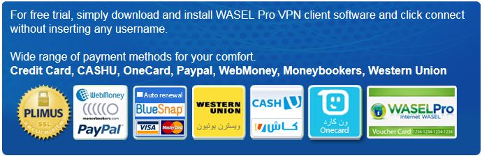 Waselpro Payment