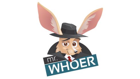 Whoer VPN Review 