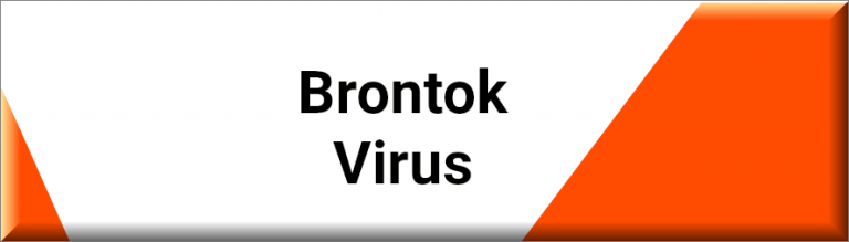 Brontok Virus Removal