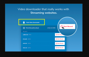 Flash video downloader chrome как пользоваться