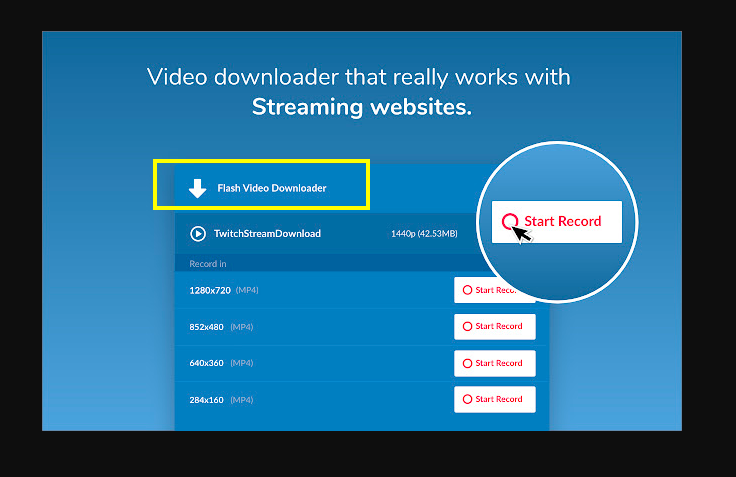 Flash Video Downloader