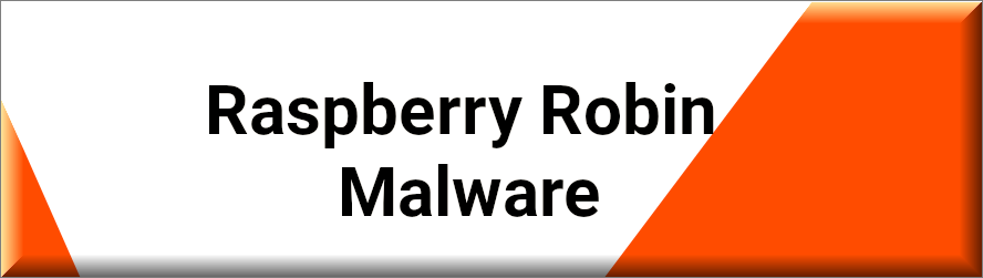 Raspberry Robin Malware