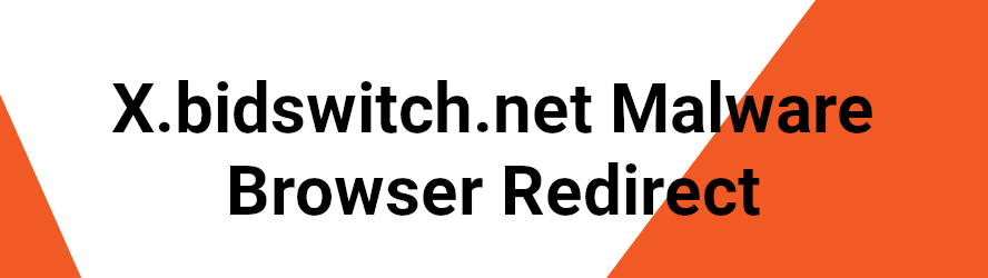 x.bidswitch.net