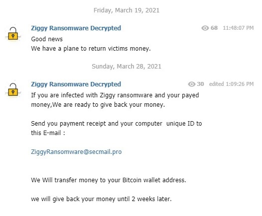 Ziggy Ransomware Gang