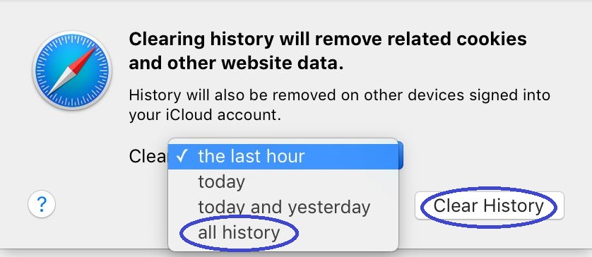 Safari Delete History 1