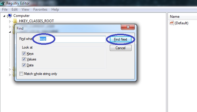 delete wup.exe registry keys