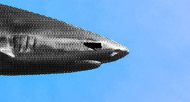 Sharkbot