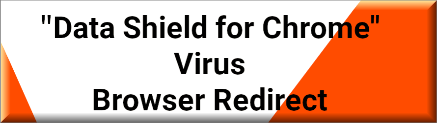 Data Shield For Chrome