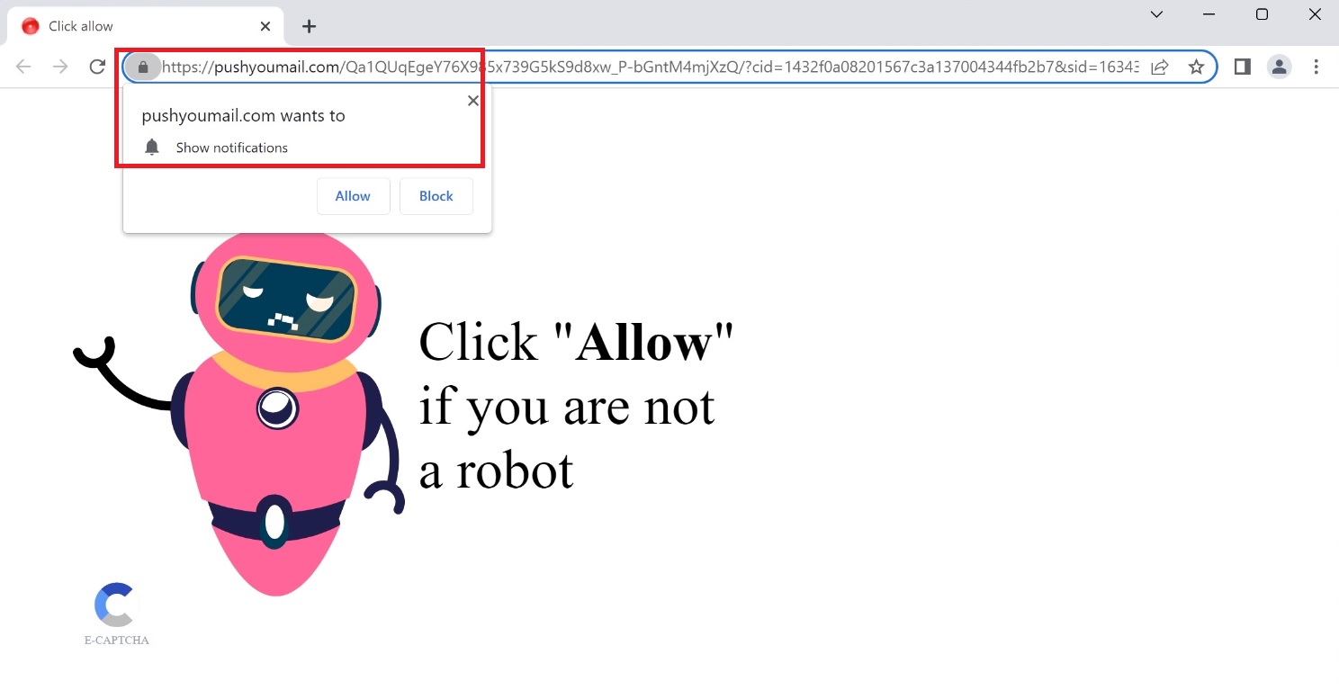Pushyoumail Virus