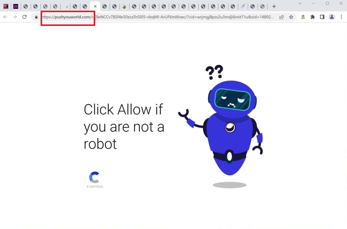 Pushyouworld Virus