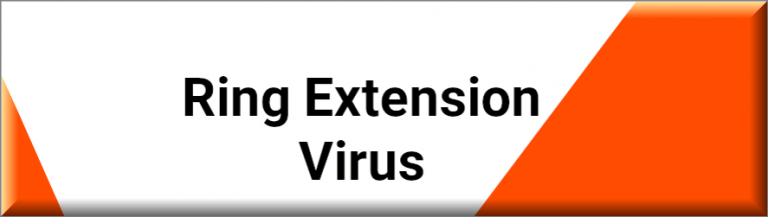 frankerz extension virus 2024