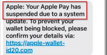 Apple pay suspended
