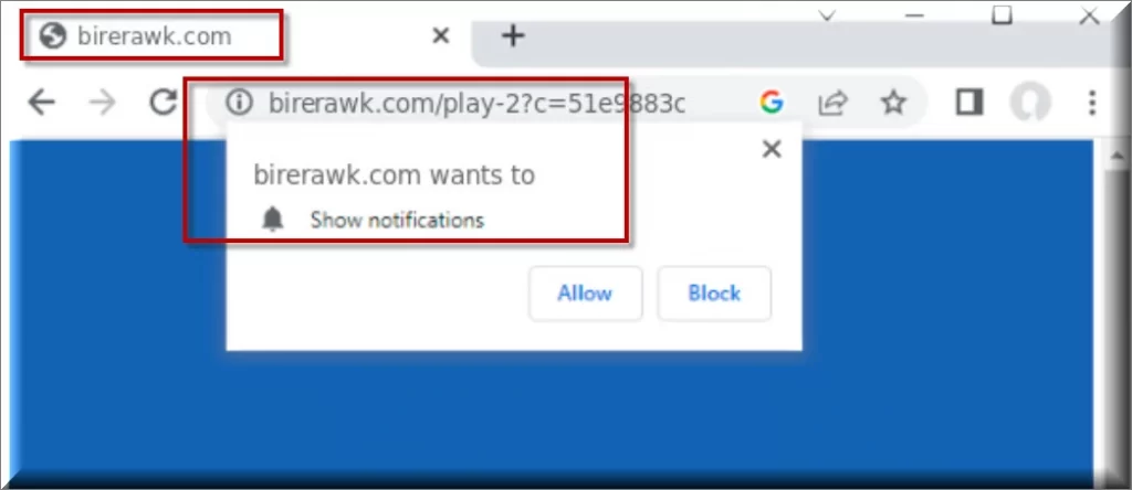 Birerawrk virus browser hijacker asking for permissions