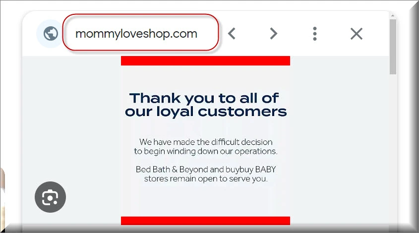 The Mommy Love Shop Scam