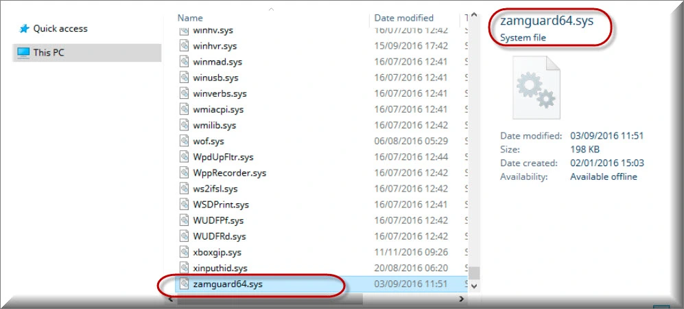La minaccia Zamguard64.sys si è presentata sul dispositivo in Sys32 o nel Registro di sistema.