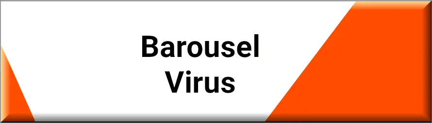 Barousel tarnt sich oft als unschuldig aussehende Datei oder Programm
