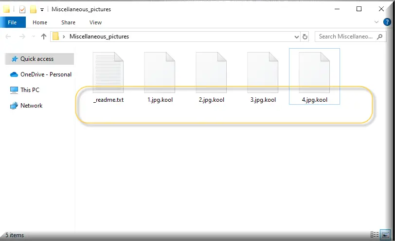 Capture d'écran des fichiers cryptés par le ransomware Kool virus