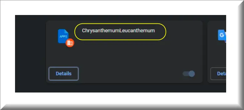 Screenshot of the ChrysanthemumLeucanthemum browser extension with message'Installed by administrator'.