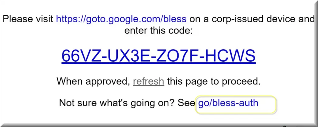 Screenshot of the go/bless-auth virus pop up