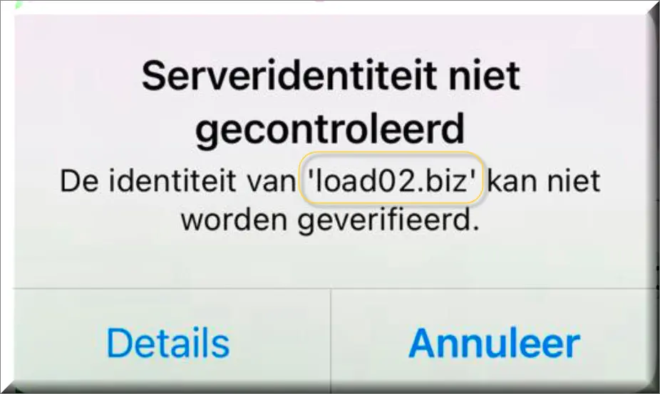 Error message about failing to verify Load02.biz's identity on an iPhone screen.