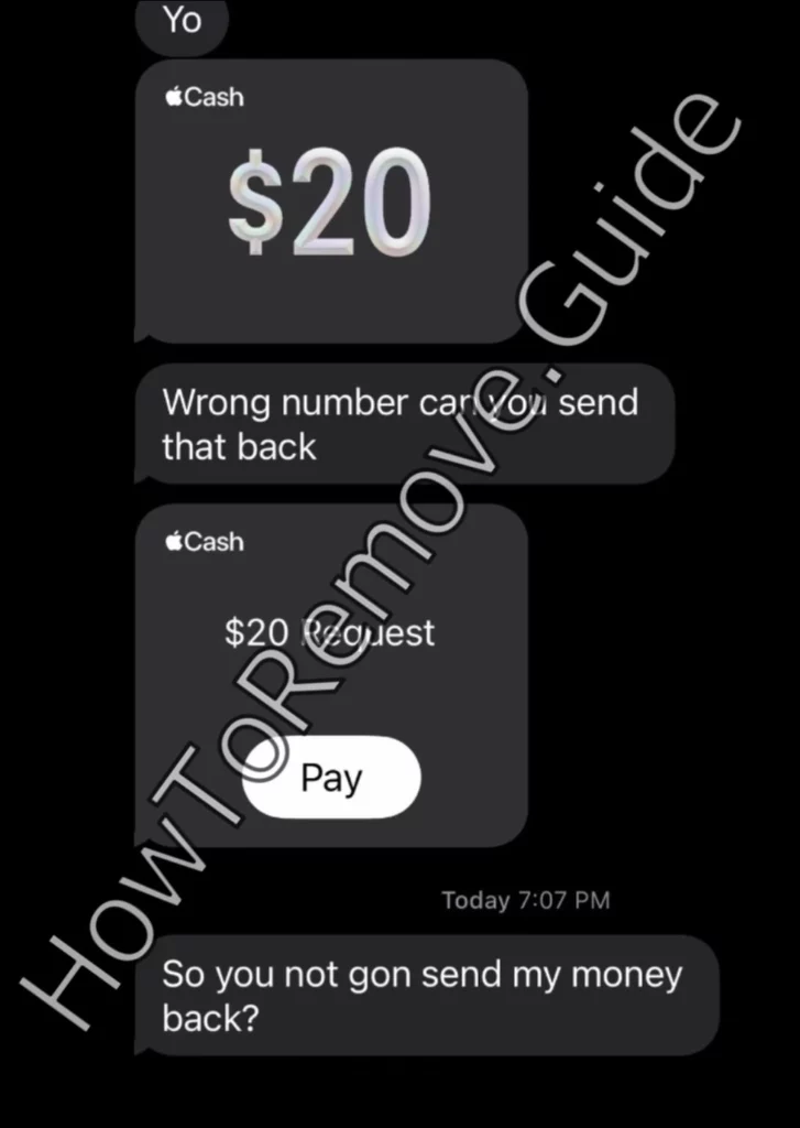 Apple Pay Request Scam 727x1024