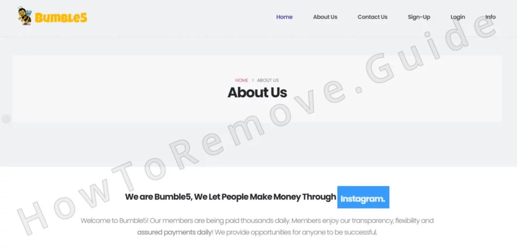 Bumble5 scam