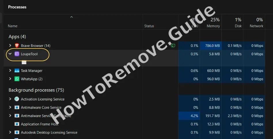 How to Remove LoupeTool