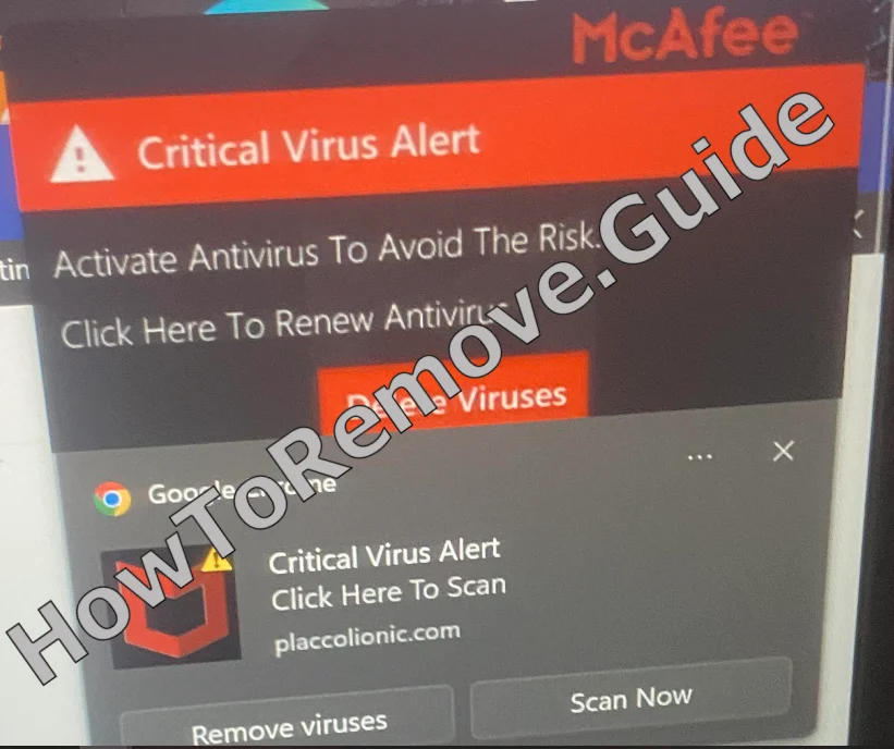 How to Remove Placcolionic Virus
