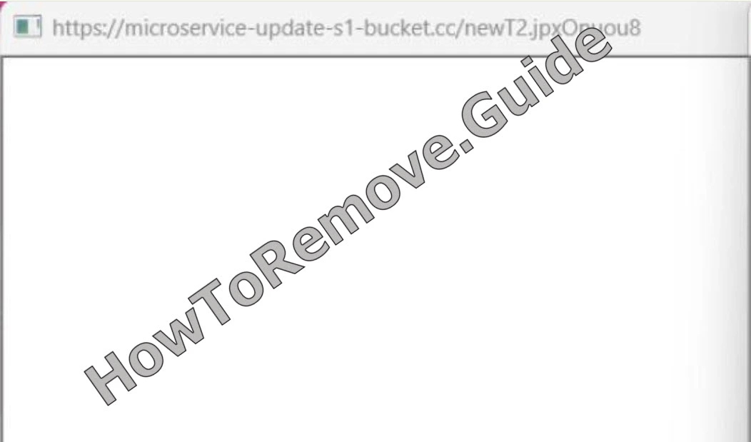 The Microservice-update-s1-bucket.cc Virus Blank Page