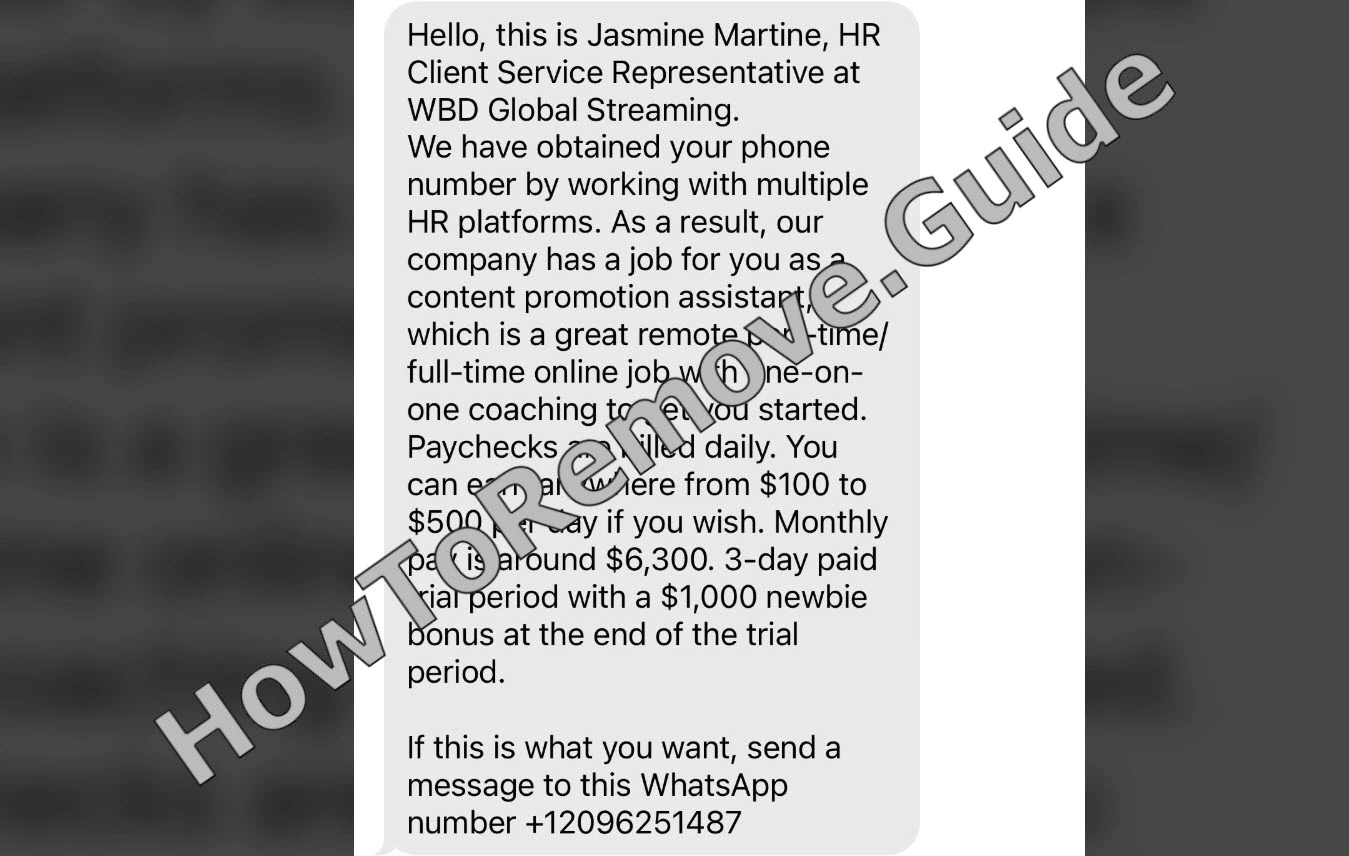 The WBD Global Streaming Text Message Scam – Report